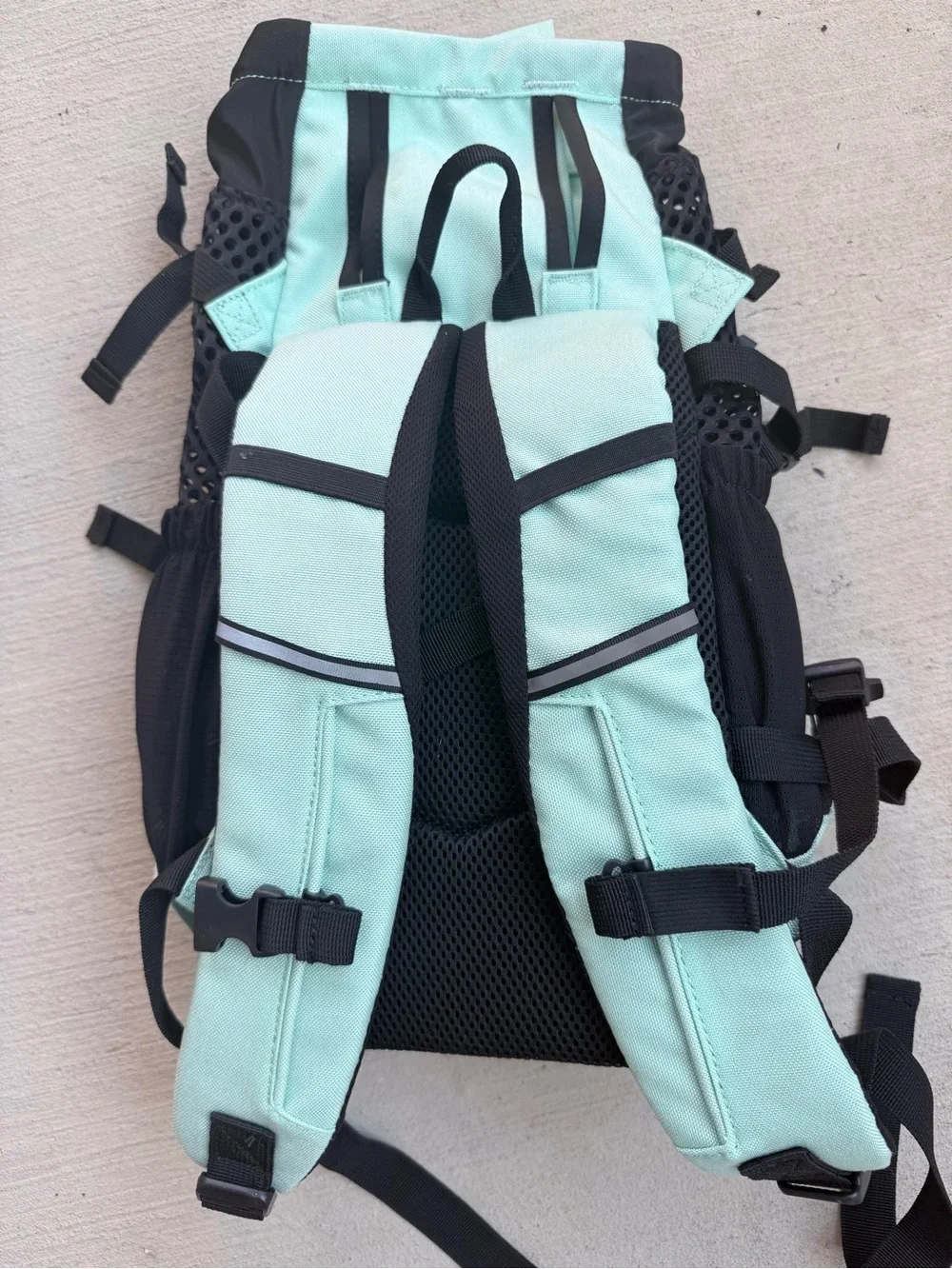 K9 Sport Sack Plus 2 Forward Facing Dog Carrier Backpack, Mint, Small